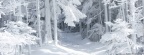 blizzard traces-cover-815x315
