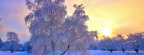 winter evening light-cover-815x315