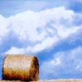 Champs agriculture  fb cover (2)