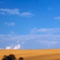 Champs agriculture  fb cover (16)