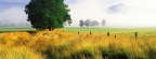 Cover FB  cover  HD - Prairies  13 