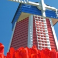 Cover FB  Windmill and Tulips, Woodburn, Oregon