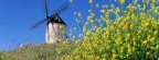 Cover FB  Consuegra, Spain