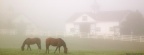 Cover FB  Manchester Horse Farm, Lexington, Kentucky
