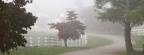 Cover FB  Manchester Horse Farm on a Foggy Morning, Lexington, Kentucky