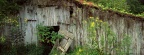 Cover FB  An Old Abandoned Barn, Williamson County, Tennessee