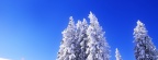 Cover FB  nature neige arbres