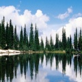 Cover FB  Balsam Lake, Mount Revelstoke National Park, British Columbia, Canada