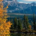 Cover FB  Jasper National Park, Alberta, Canada