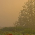 Cover FB  Pumpkin Patch, Westham Island, Ladner, British Columbia