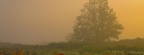 Cover FB  Pumpkin Patch, Westham Island, Ladner, British Columbia