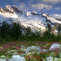 Cover FB  Rock Garden, Alsek River, British Columbia, Canada