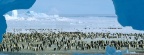 Atka Bay, Antartique Timeline