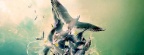 Birds 851x315 _7.jpg