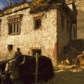 Threshing Barley, Photoskar Village, Ladakh, India