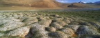 Tussocks of Permafrost, Ladakh, India