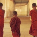 Young Buddhist Monks, Cambodia