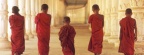 Young Buddhist Monks, Cambodia