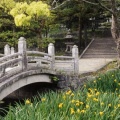 Hagi Castle Garden, Western Honshu, Japan