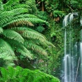 Cover FB  Beauchamp Falls, Victoria, Australia