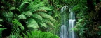 Cover FB  Beauchamp Falls, Victoria, Australia