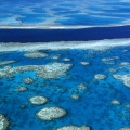 Cover FB  Great Barrier Reef Marine Park, Queensland, Australia
