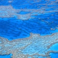 Cover FB  Great Barrier Reef, Australia