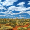 Cover FB  Old Spinifex Rings, Little Sandy Desert, Australia