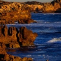 Cover FB  Rugged Coastline at Boozy Gully, Canunda National Park, Australia