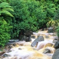 Cover FB  Karamea, South Island, New Zealand