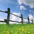 Cover FB  Baden-Württemberg in Spring, Germany