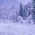 Cover FB  Frozen Lake, Schnolzersee, Bavaria, Germany