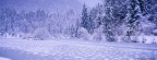 Cover FB  Frozen Lake, Schnolzersee, Bavaria, Germany