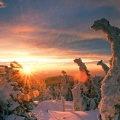 Cover FB  Snow-Covered Trees, Hochharz National Park, Saxony-Anhalt, Germany