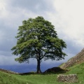 Cover FB  Hadrian's Wall, Northumberland, England