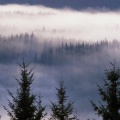 Cover FB  Misty Glen Garry, Skye and Lochalsh, The Highlands, Scotland