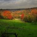 Cover FB  Peeking Through the Trees, Near Merstham, Surrey, England