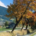 Cover FB  Ehrwald in Autumn, Alps, Tyrol, Austria