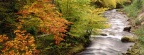 Cover FB  Beech Trees Along the Saliencia River, Somiedo Natural Park, Asturias, Spain