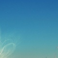 Cover_FB_ new_york_city_winter-851x315-.jpg