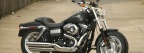 Cover FB  Harley-Davidson FLSTC Heritage Softail Classic 2002 01 850x315