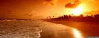 beach sunset cover FB