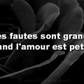 Couverture Citation Amour