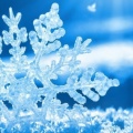 Flocon de Neige - Couverture Facebook