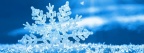 Flocon de Neige - Couverture Facebook