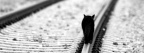 Chat Rail - Facebook Cover