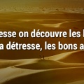 Dans la sécheresse on découvre - Proverbes chinois