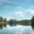 Lac dans la forêt (2)