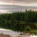 Lac dans la forêt