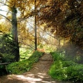 Banc en pleine nature